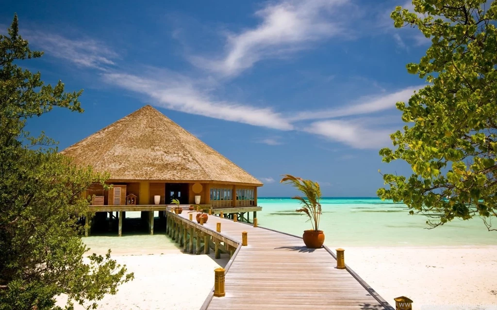 Exotic Wallpapers
