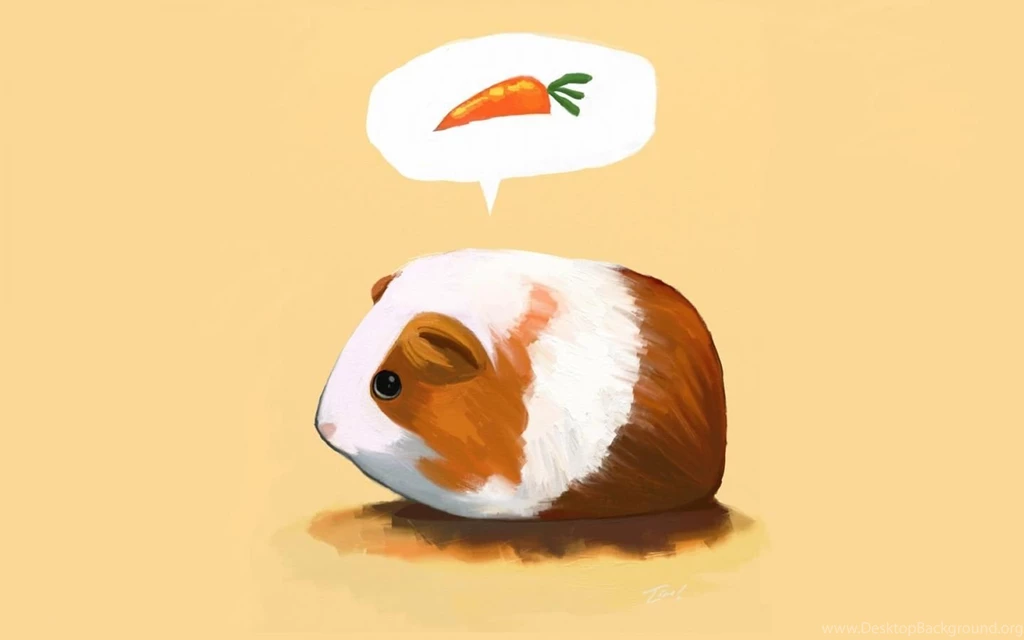 Cartoons Animals Carrots Guinea Pigs Pig Wallpapers