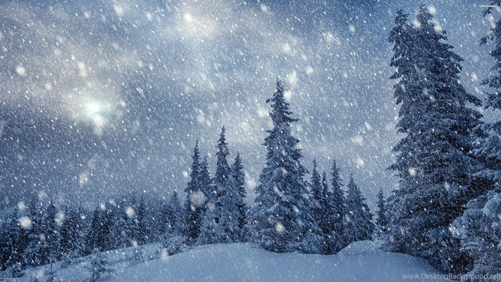 Heavy Snowing In The Forest Wallpapers
