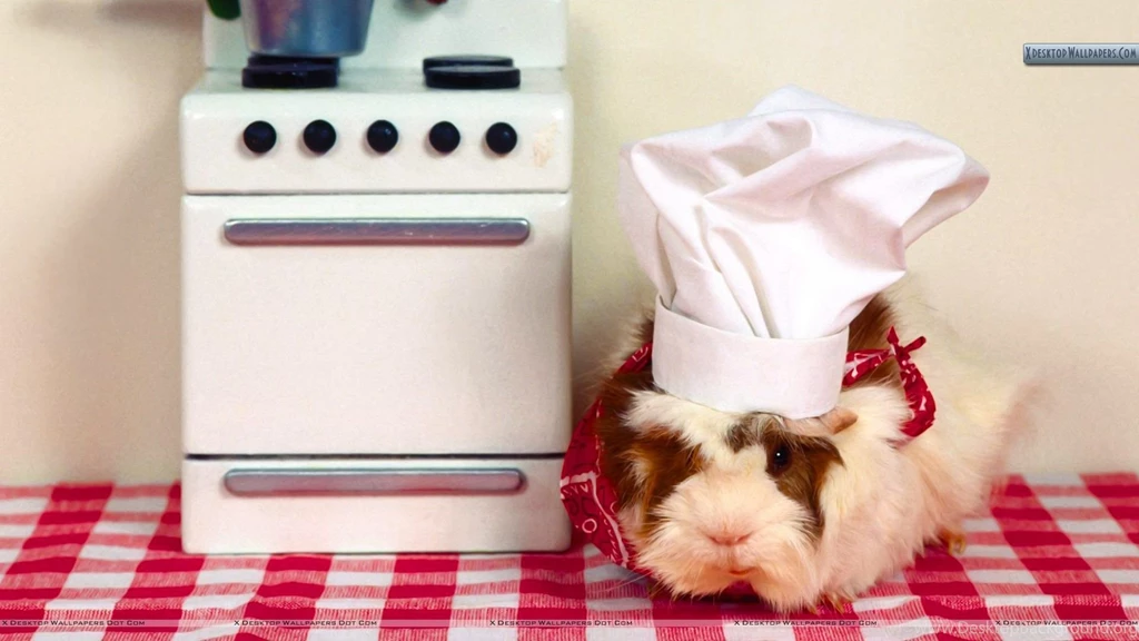 What's Cooking Guinea Pig Wallpapers