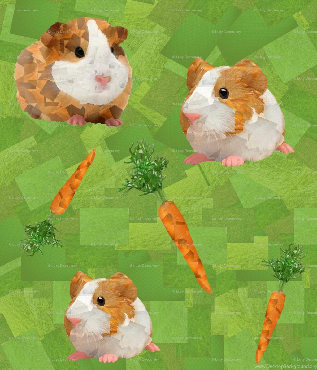 Guinea Pig Fabric, Wallpapers & Gift Wrap Spoonflower