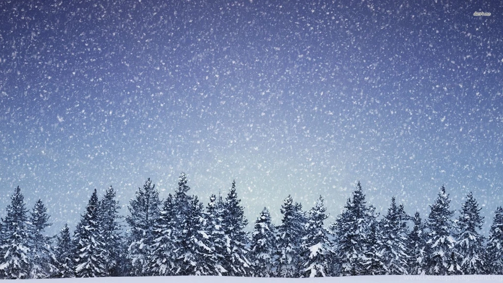 Snowing On The Fir Forest Wallpapers Nature Wallpapers