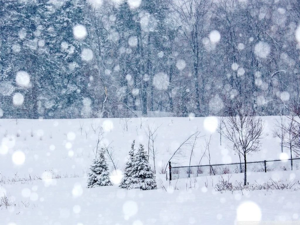 Winter Snowing HD Desktop Wallpapers : Widescreen : Fullscreen ...