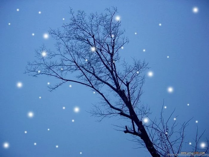Dreamy Snowy World Snow Scene & Snow Wallpapers2 Wallcoo.net