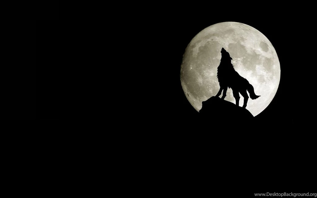 Moon Silhouette Wallpapers