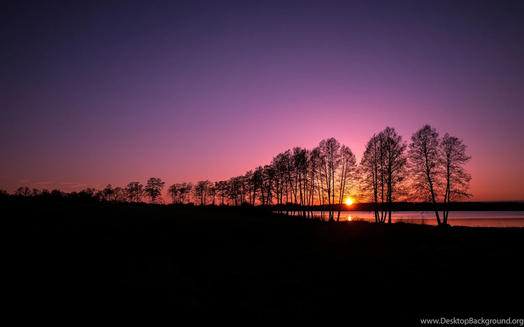 Sunset Silhouette Wallpapers