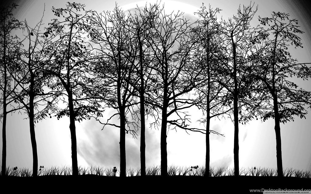 Tree Silhouette Wallpapers