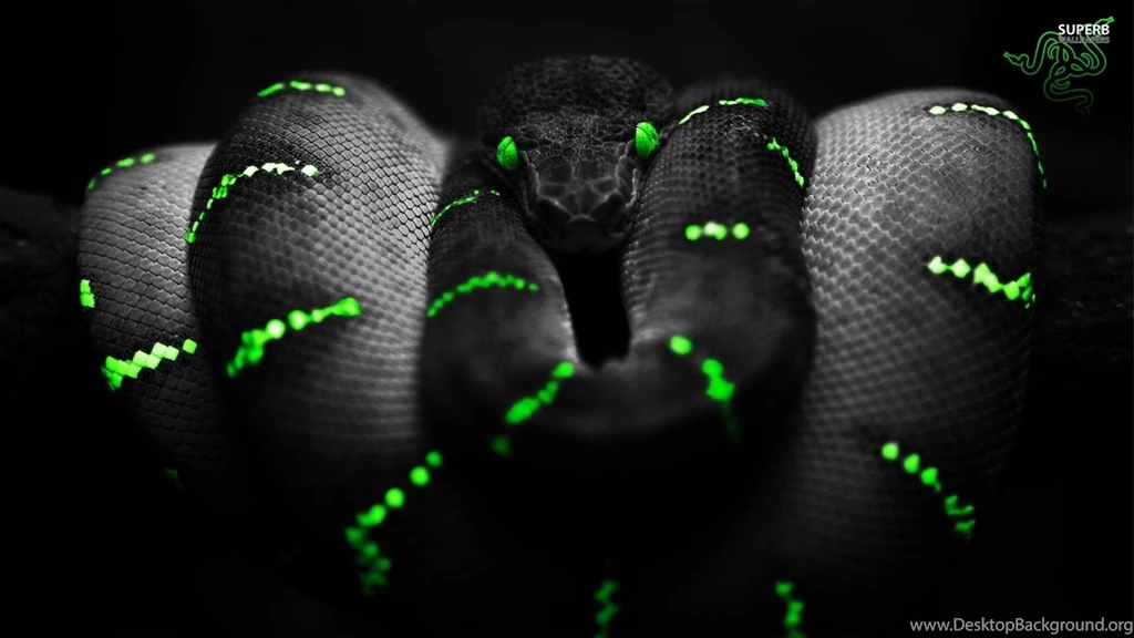 Razer Iphone Wallpapers Download 583 Views 172 Downloads 0 ...