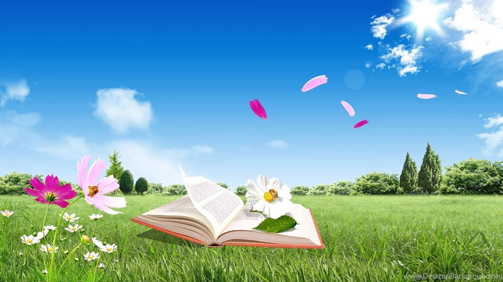 Full HD 1080p Book Wallpapers HD, Desktop Backgrounds 1920x1080 ...