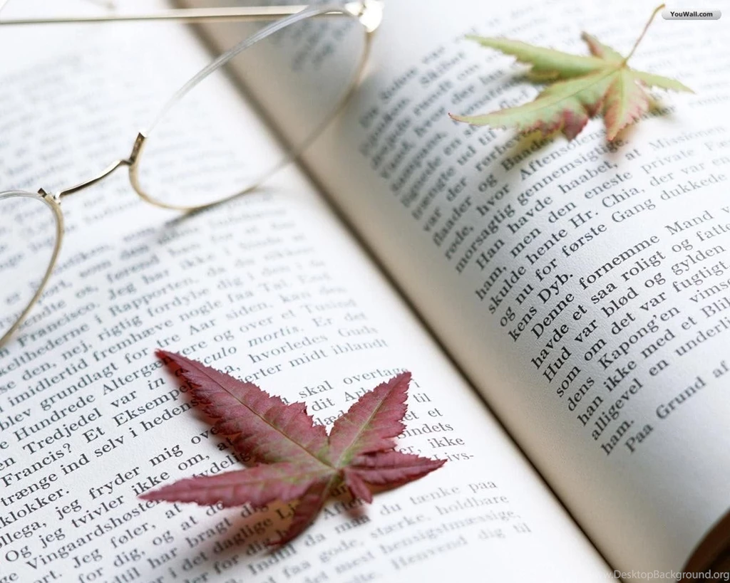 YouWall Leaves Over The Book Wallpapers Wallpaper,wallpapers ...
