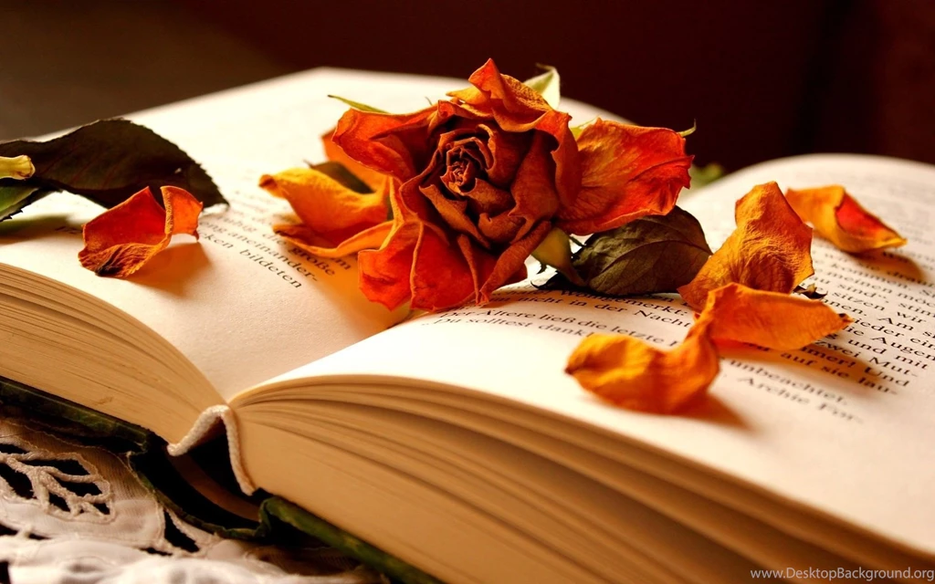 Open Book Wallpapers And Images Wallpapers, Pictures, Photos