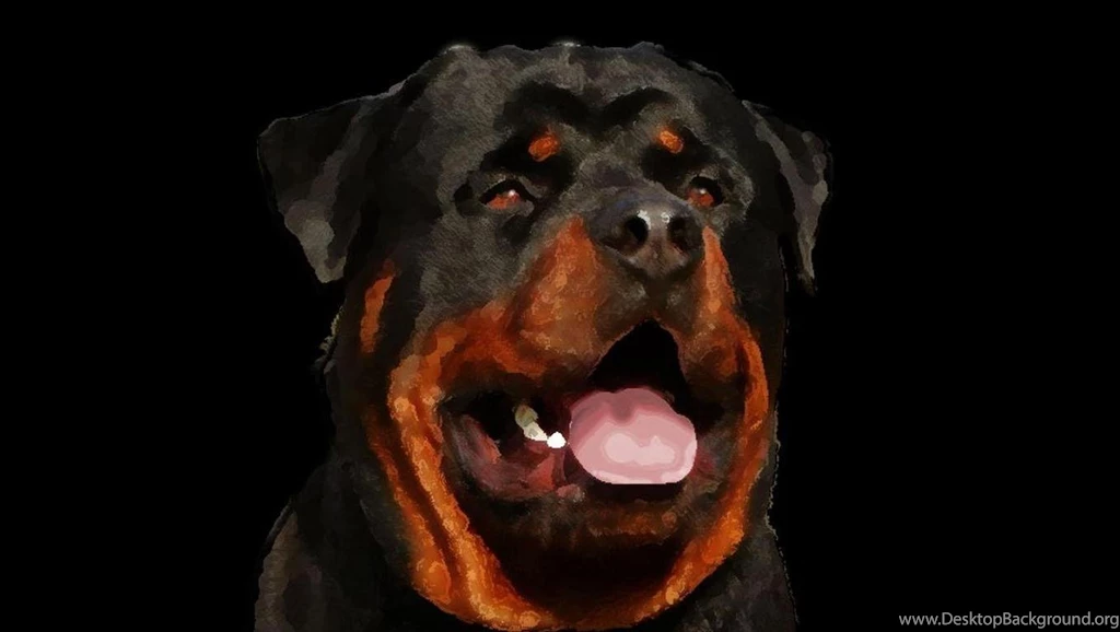 Rottweiler Best Wallpapers
