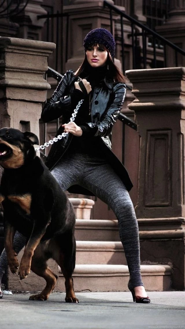 iPhone 5S, 5C, 5 Rottweiler Wallpapers HD, Desktop Backgrounds ...