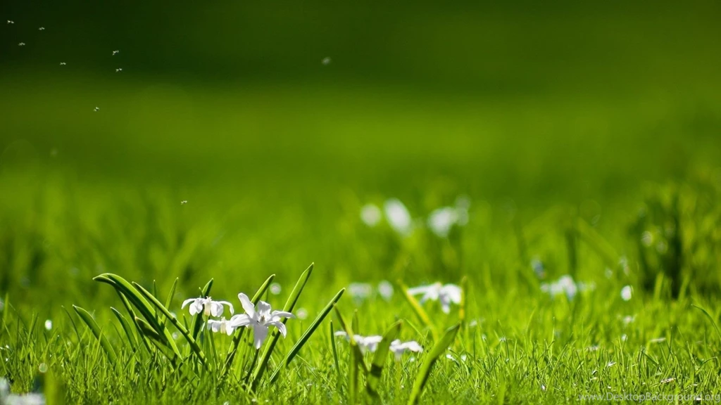 Nature Backgrounds Wallpapers