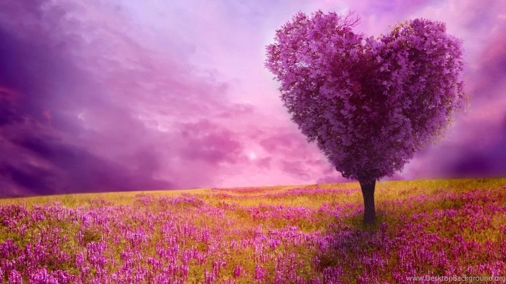 Spring Nature Backgrounds