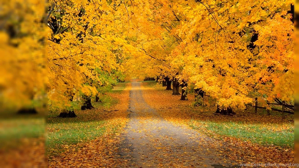 Fall Desktop Wallpapers Free Best Hd Wallpapers 1920x1080px