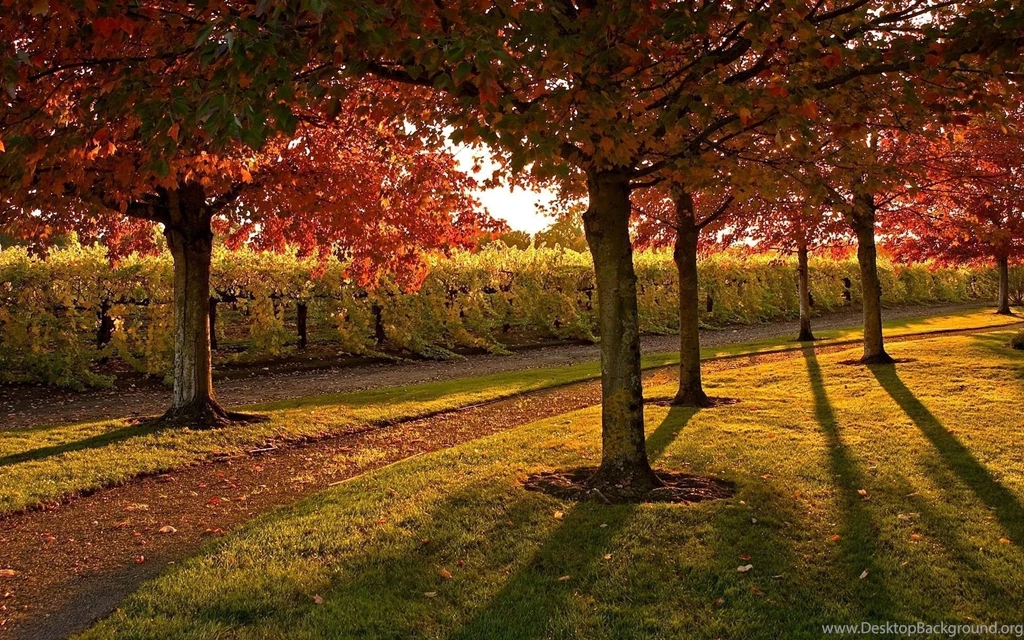 Complete And Realistic Natural Fall View In Your Desktop: Autumn ...