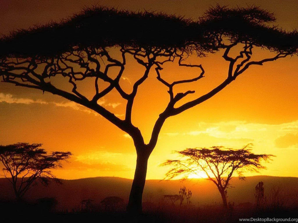 Top African Art Desktop Background Images For Pinterest