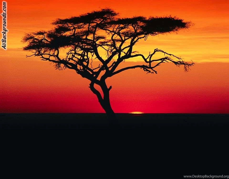 Africa Backgrounds Twitter & Myspace Backgrounds