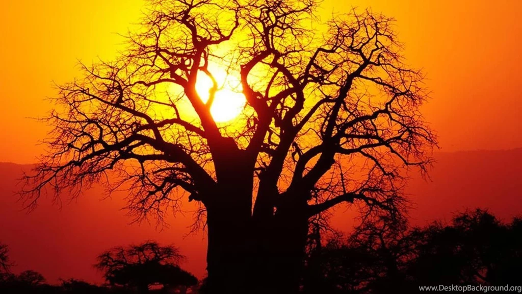 Desktop Wallpapers · Gallery · HD Notebook · African Golden Sunset ...