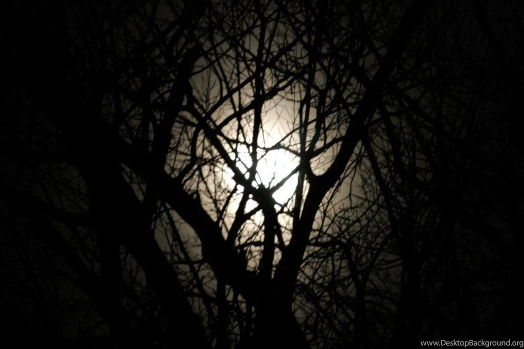 Tim Burton Tree By Burkle On DeviantArt