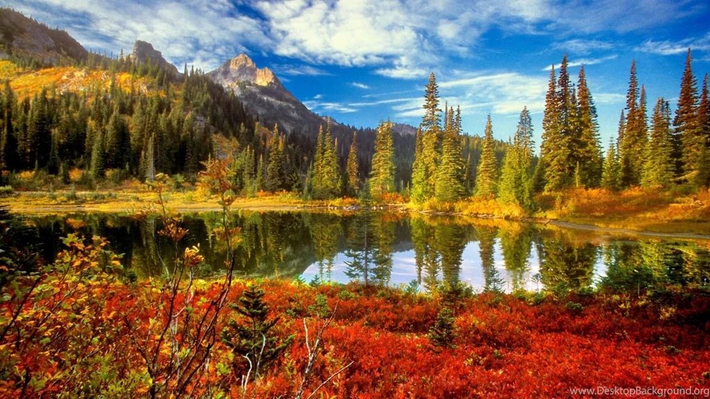 Beautiful Fall Backgrounds