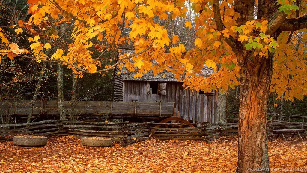 Autumn Images Desktop Backgrounds