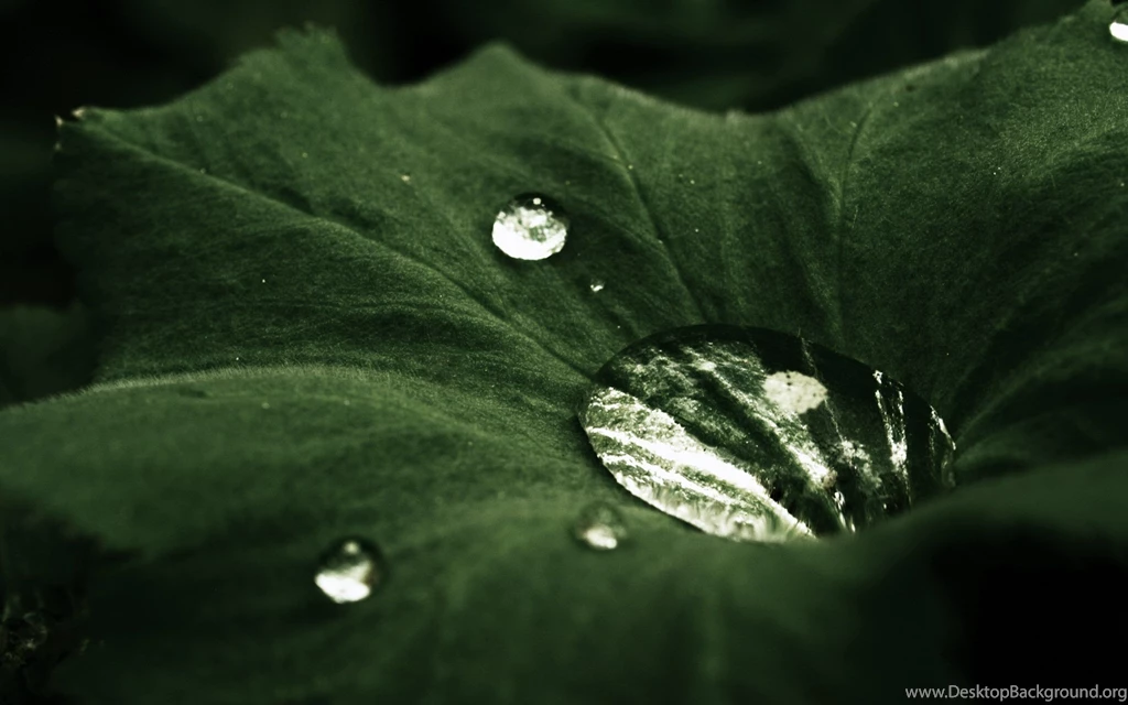 Nature Wallpapers 2560x1600 (