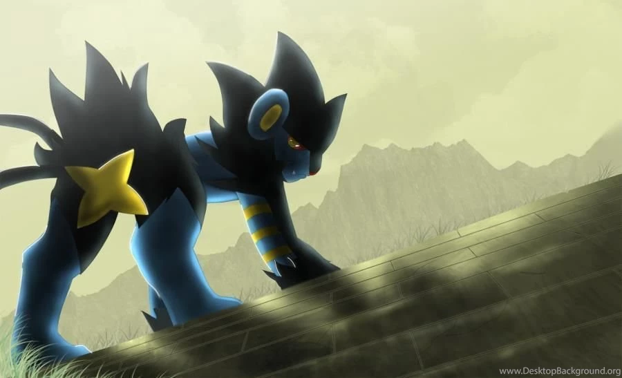 Luxray Luxio Shinx Favourites By Pom Lover424 On DeviantArt