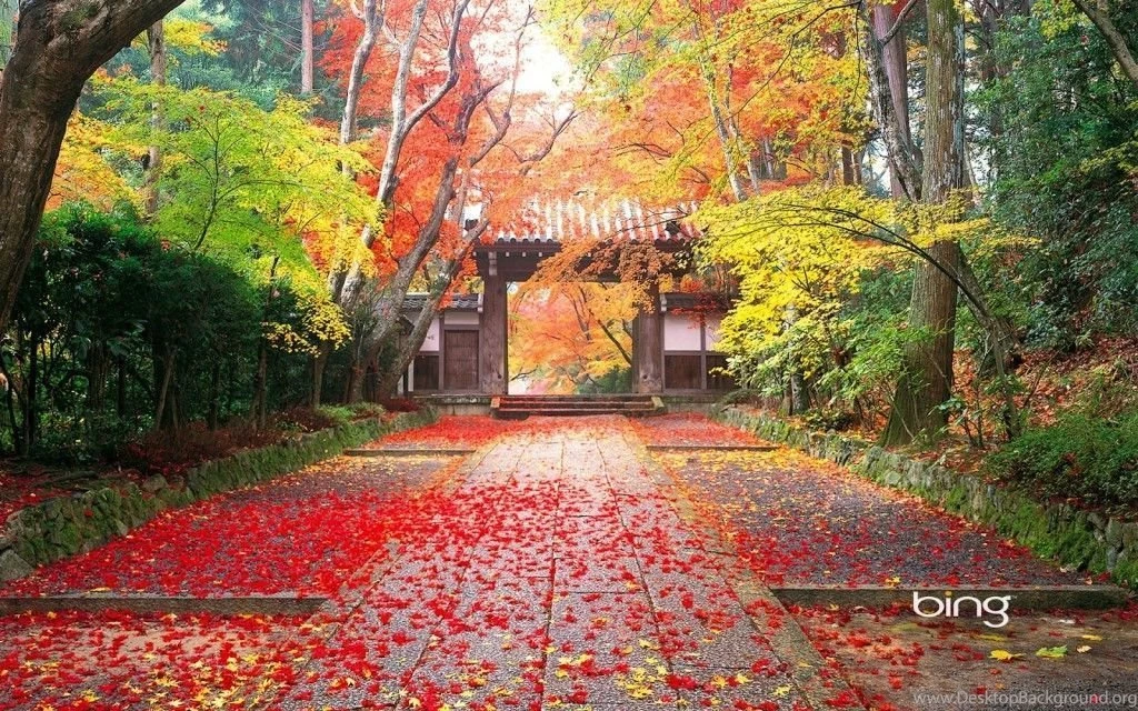 Large Fall Wallpaper Backgrounds, Wallpaper, Large Fall Wallpapers ...