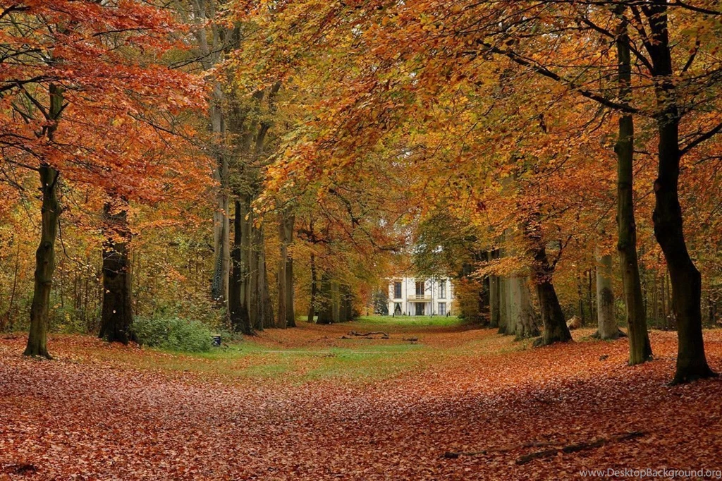 Fall Backgrounds Wallpapers Desktop Backgrounds