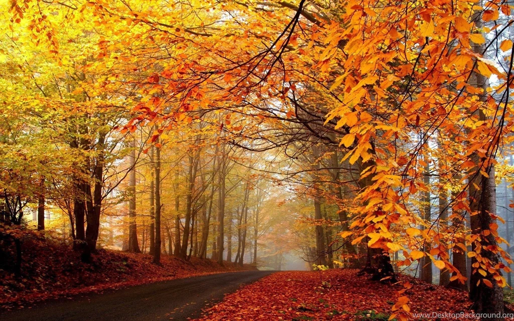 Fall Leaves Lessons TES