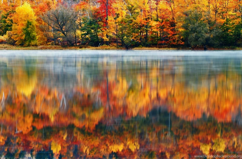 Color Autumn Trees Park Wallpapers