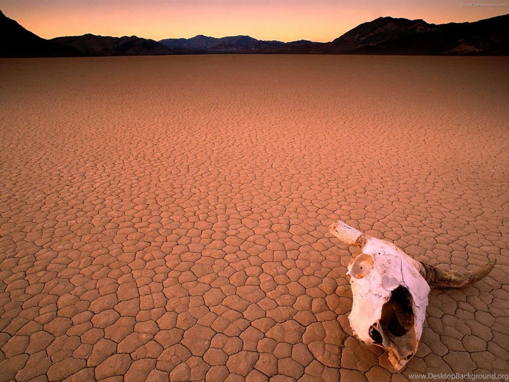 Desert Wallpapers
