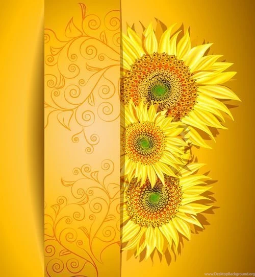 Sunflower Vector For Free Download