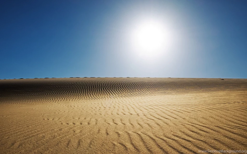Sunny Desert Wallpapers