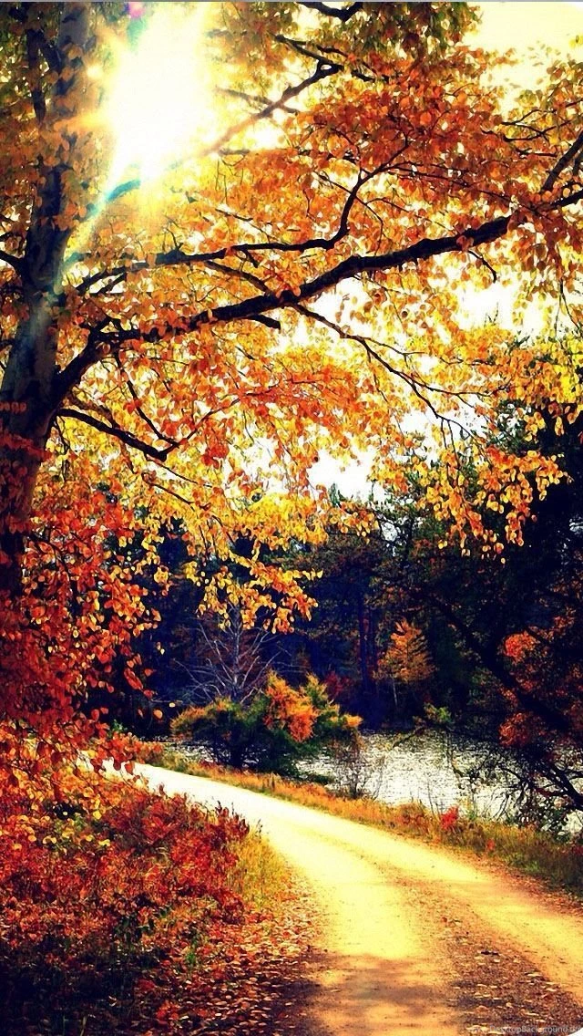 Top Autumn Iphone Wallpaper Images For Pinterest
