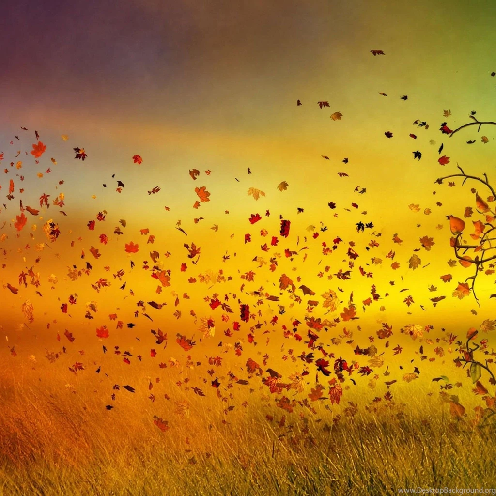 Top Viewing Gallery For Fall Images For Pinterest