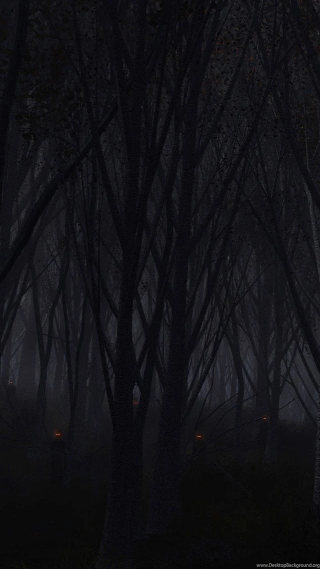 Dark Forest iPhone 5 Wallpapers (640x1136)