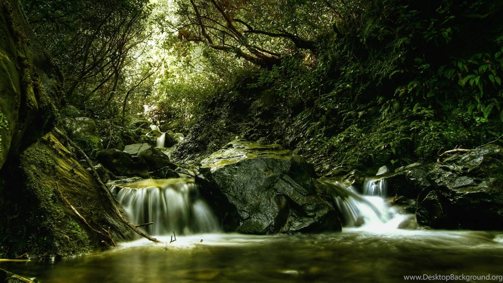Beautiful Desktop Download