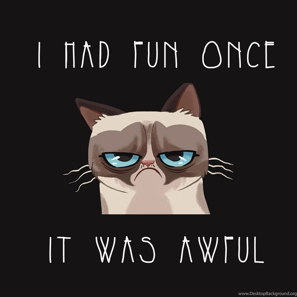 Download Wallpapers 2048x2048 Grumpy Cat, Cat, Funny, Sadness ...