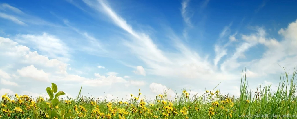 Download Wallpapers 2560x1024 Grass, Sky, Blue, Purity, Flowers ...