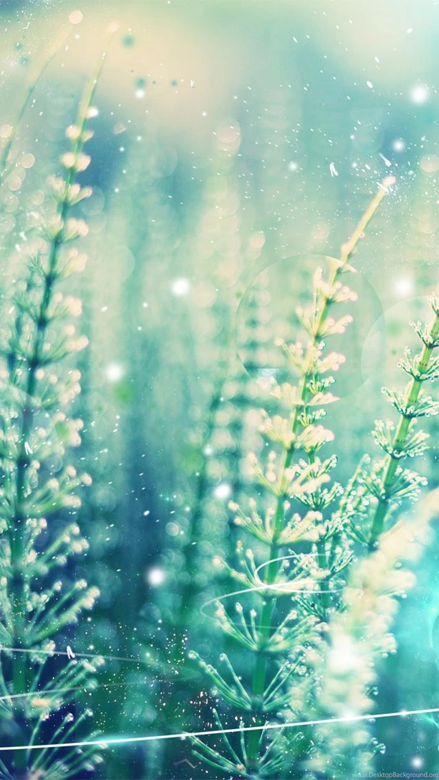 Free Wallpapers For Iphone S Nxtaa