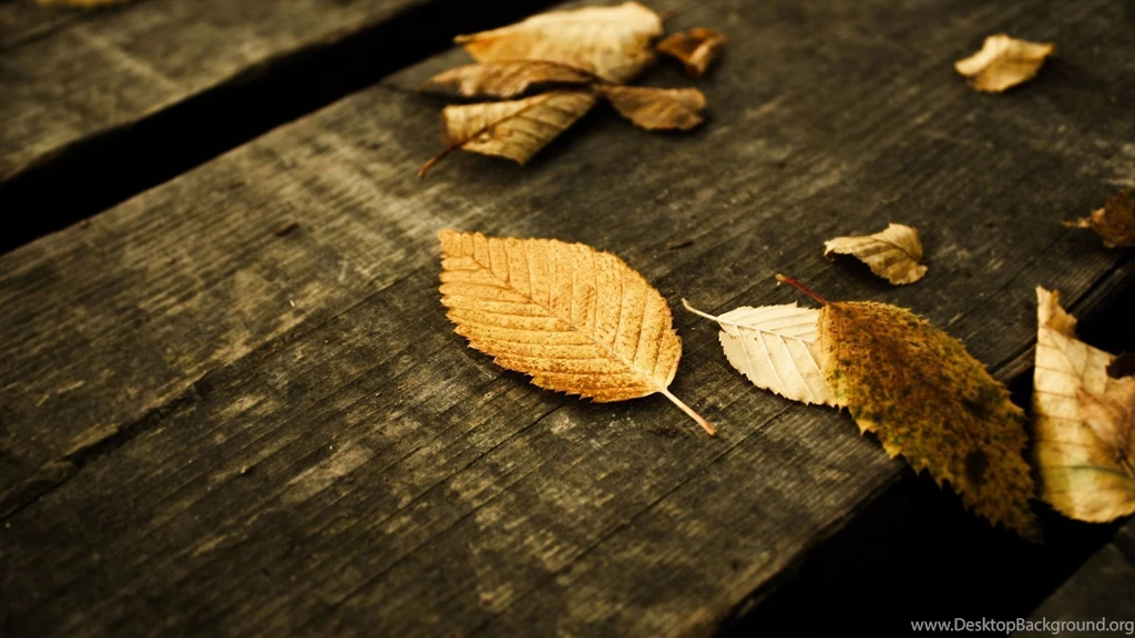 Fall Pictures Backgrounds