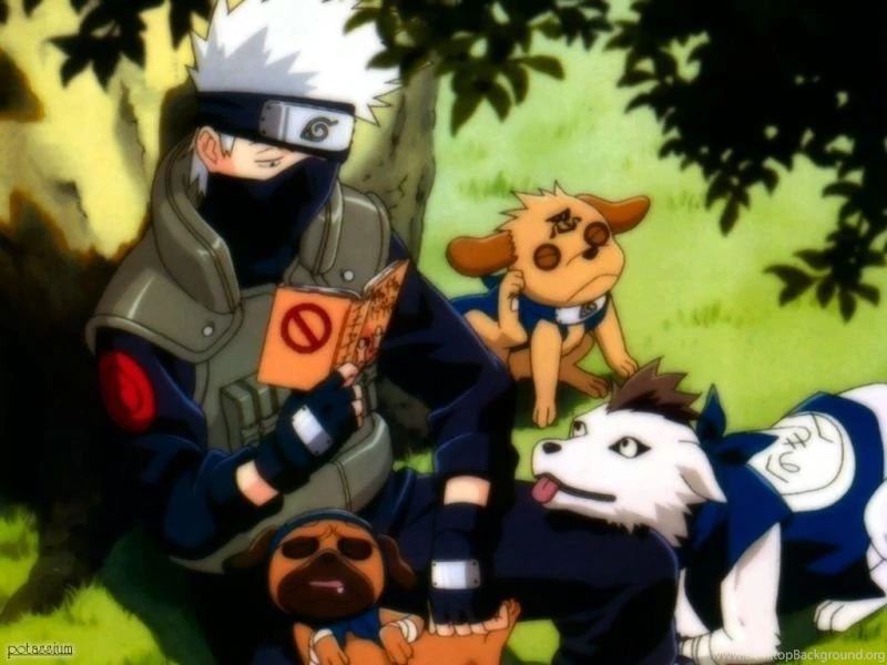 Kakashi Hatake Kakashi Wallpapers (34531442) Fanpop