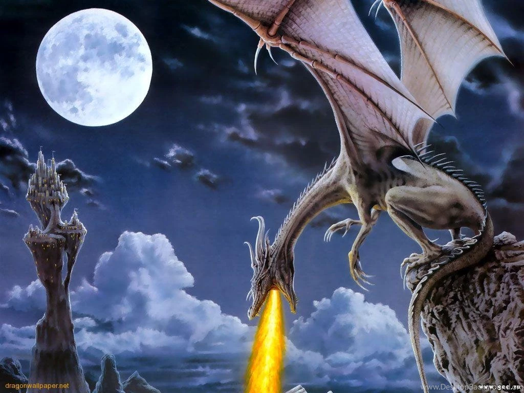 Free Dragon Pictures HD Wallpapers Lovely