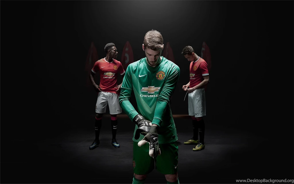 Man Utd 2014 15 Goalkeeper Nike Home Kit Wallpaper.jpg
