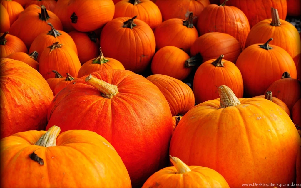 Pumpkin And Happy Thanksgiving Wallpapers