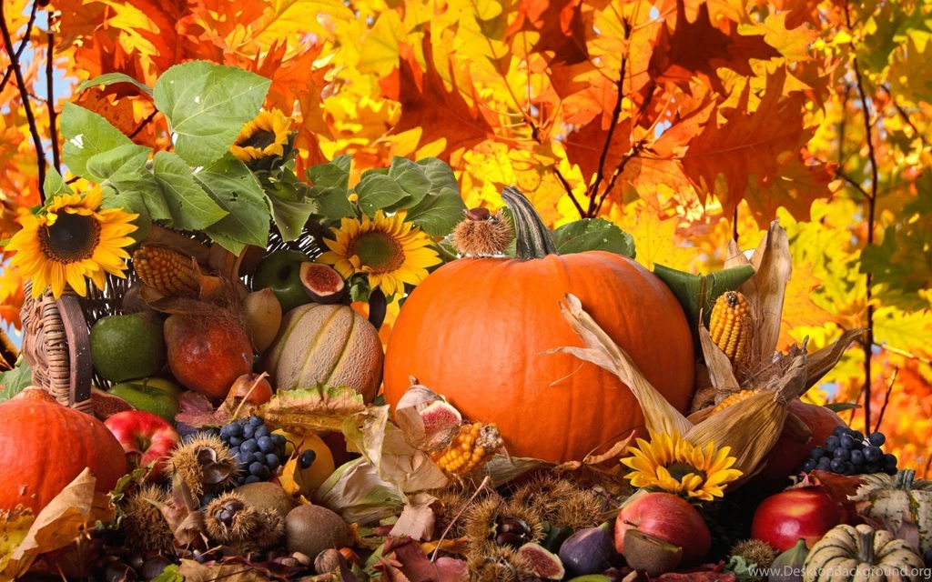 Thanksgiving Free Wallpapers HD Wallpapers Pretty