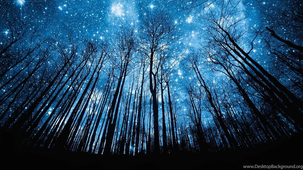 Night Time